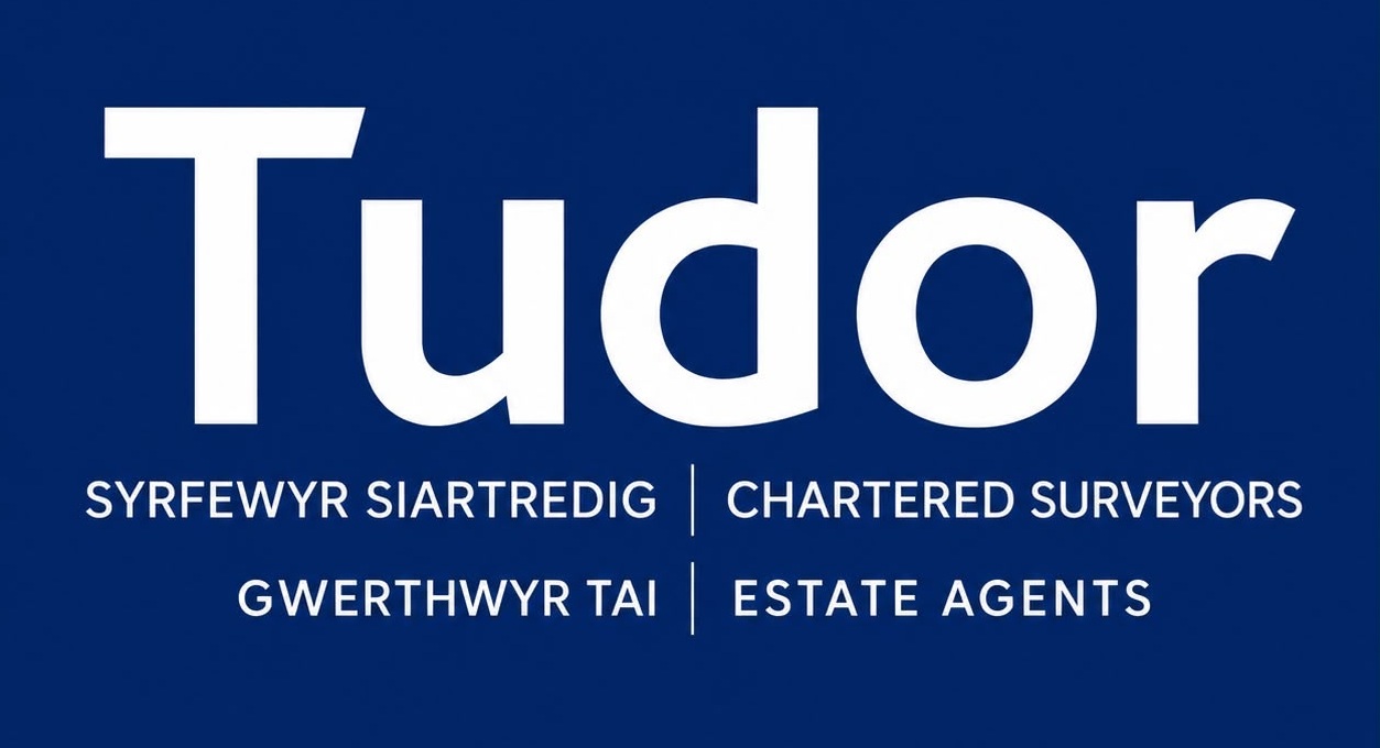 TudorLogo2026